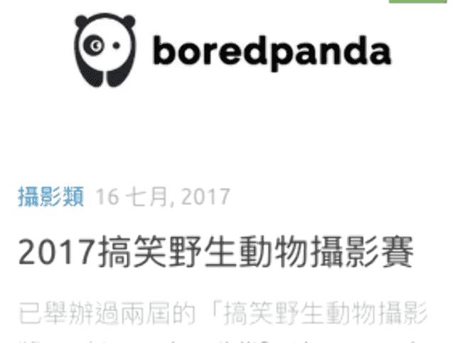 2017搞笑野生動物攝影賽比賽