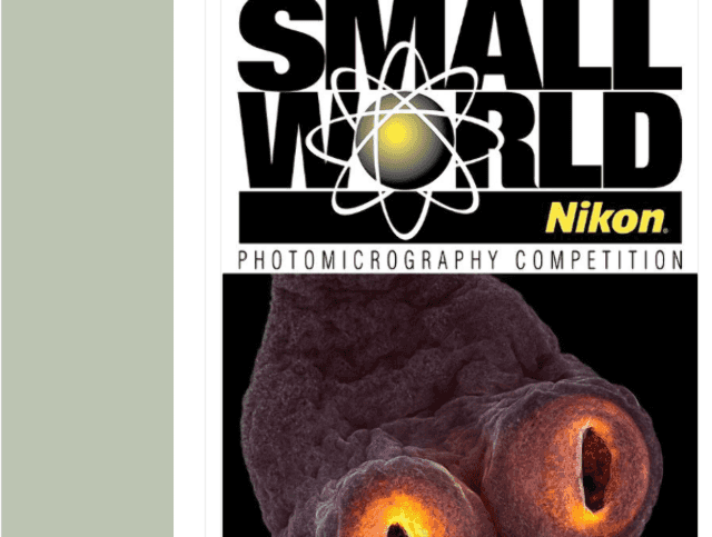 Small_World_In_Motion_Video_Competition比賽