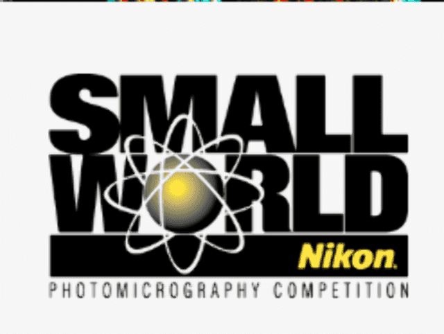 Small_World_Photomicrography_Competition比賽